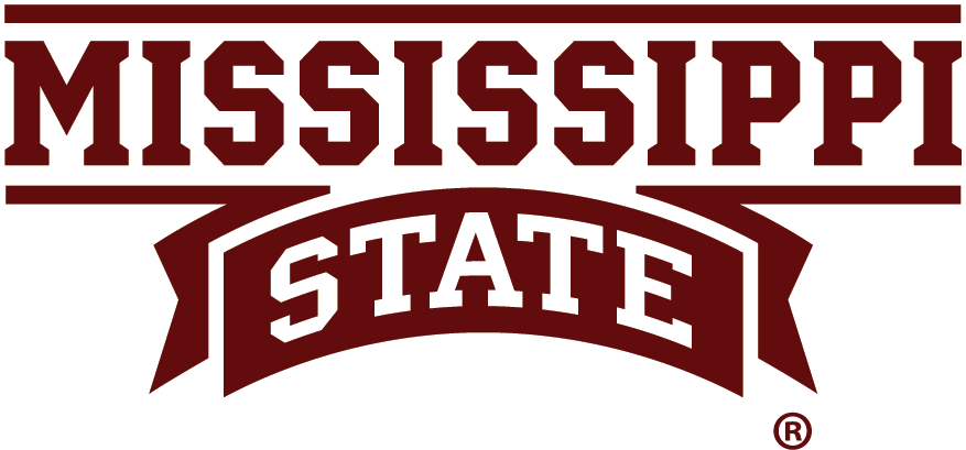 Mississippi State Bulldogs 2009-Pres Wordmark Logo iron on transfers for T-shirts